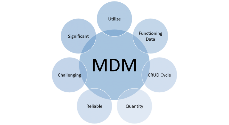 master-data-management-platform-amurta